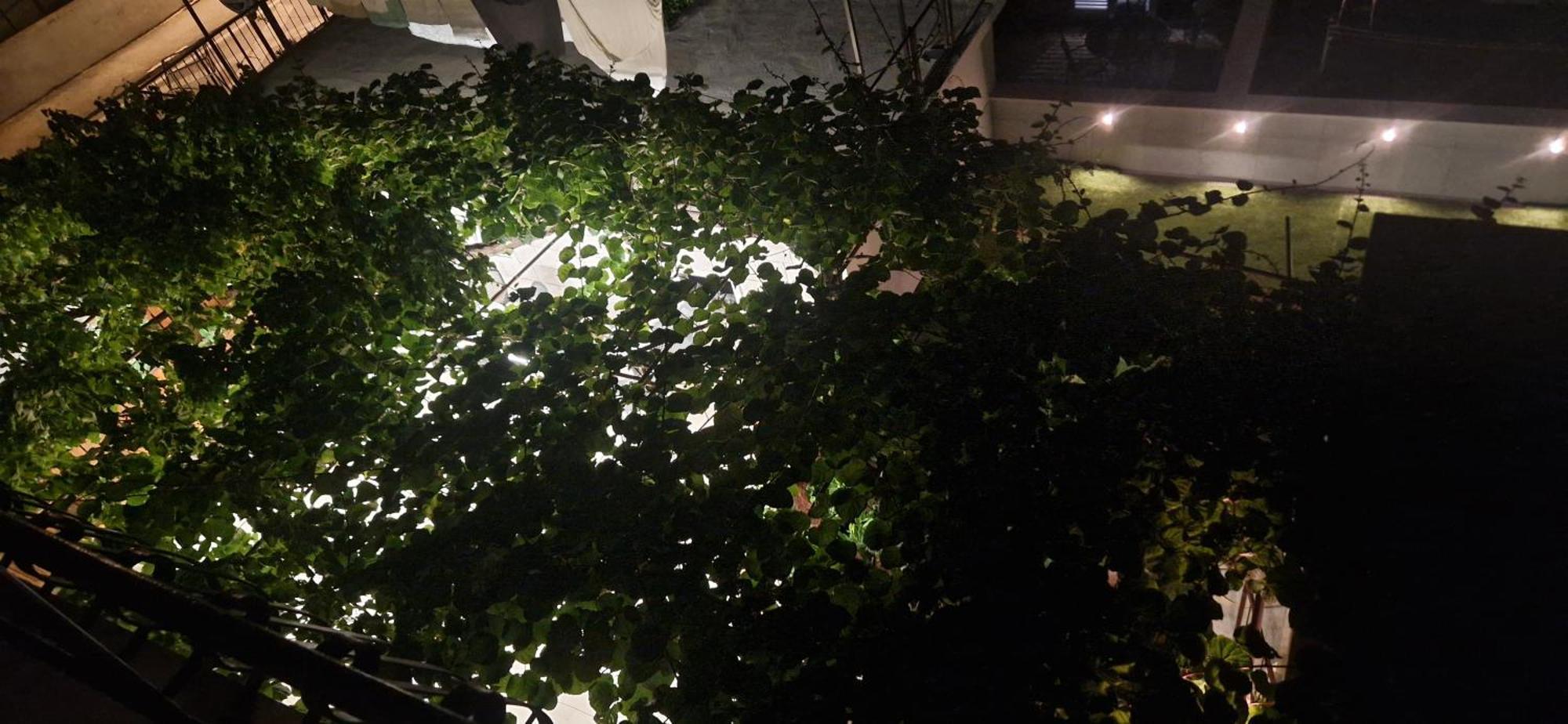 Palute Ξενοδοχείο Supetar Εξωτερικό φωτογραφία